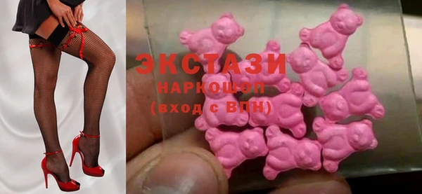 ECSTASY Каменка