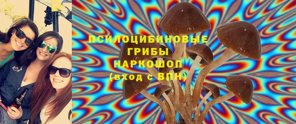 MESCALINE Карпинск