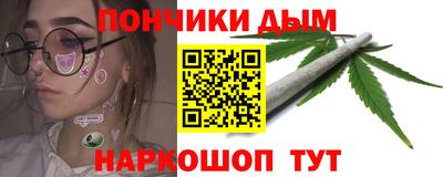 мдпв Кингисепп