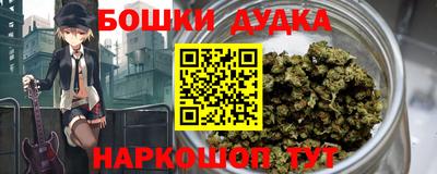 мдпв Кингисепп