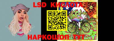 мдпв Кингисепп