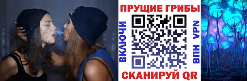 купить наркотики цена  blacksprut маркетплейс  Псилоцибиновые грибы мицелий  Кудрово 