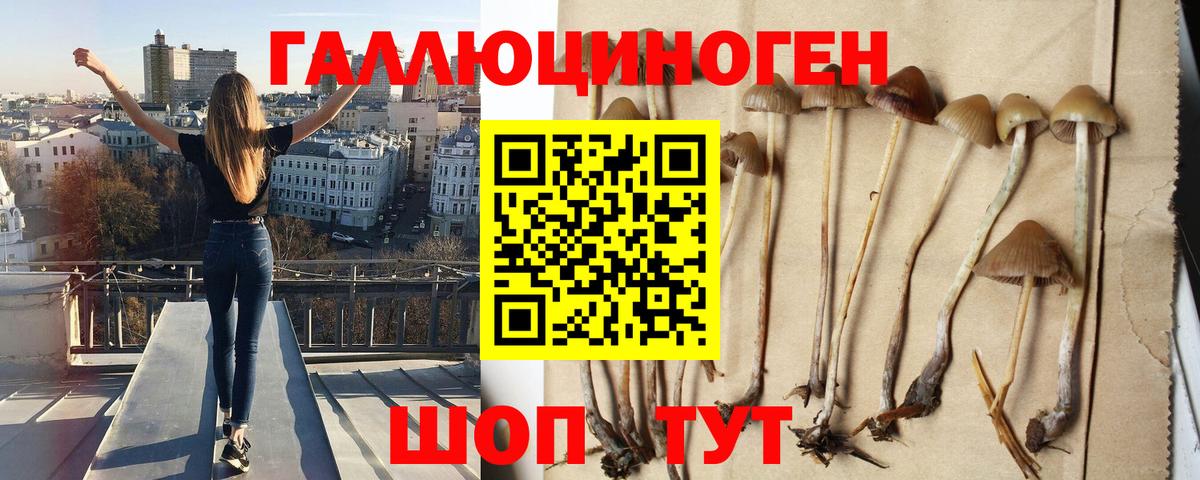 Галлюциногенные грибы MAGIC MUSHROOMS  Вход с VPN  Кудрово 