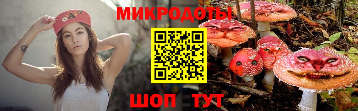 Псилоцибиновые грибы прущие грибы Кудрово