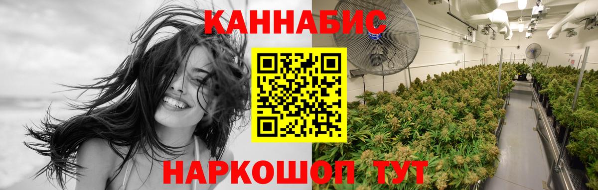 Каннабис Amnesia Кудрово